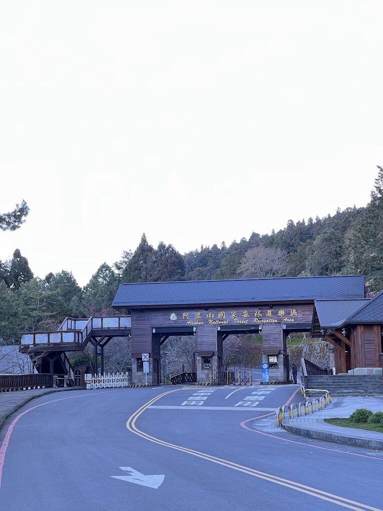 【2025】阿里山旅遊必知：避免錯誤讓你的旅程完美無缺