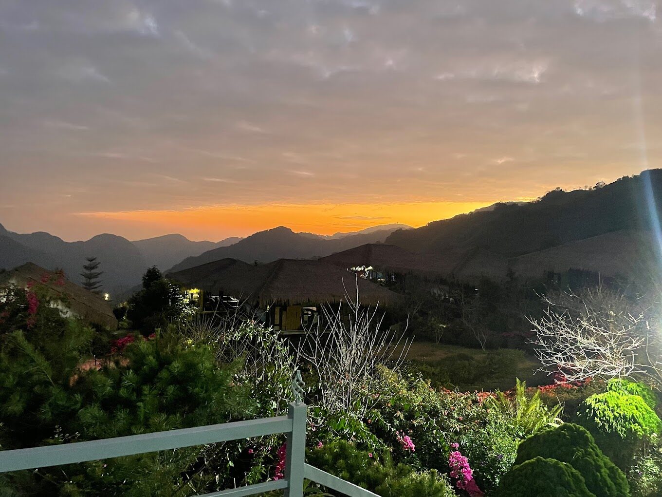 【2025】阿里山旅遊必知：避免錯誤讓你的旅程完美無缺