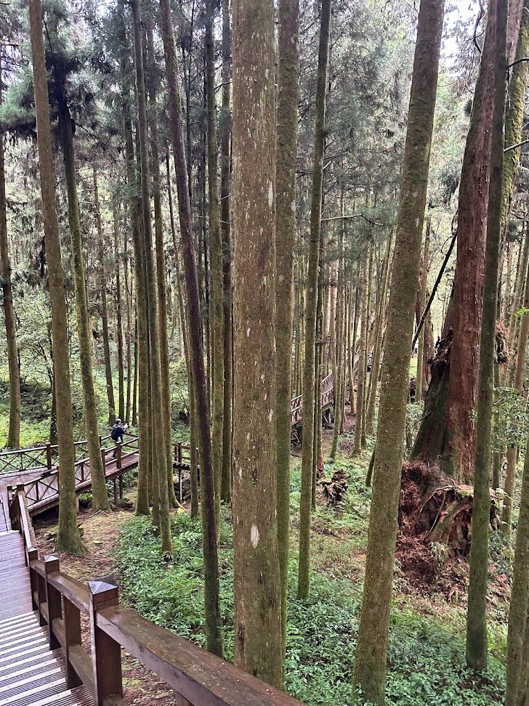 2025嘉義景點必遊清單