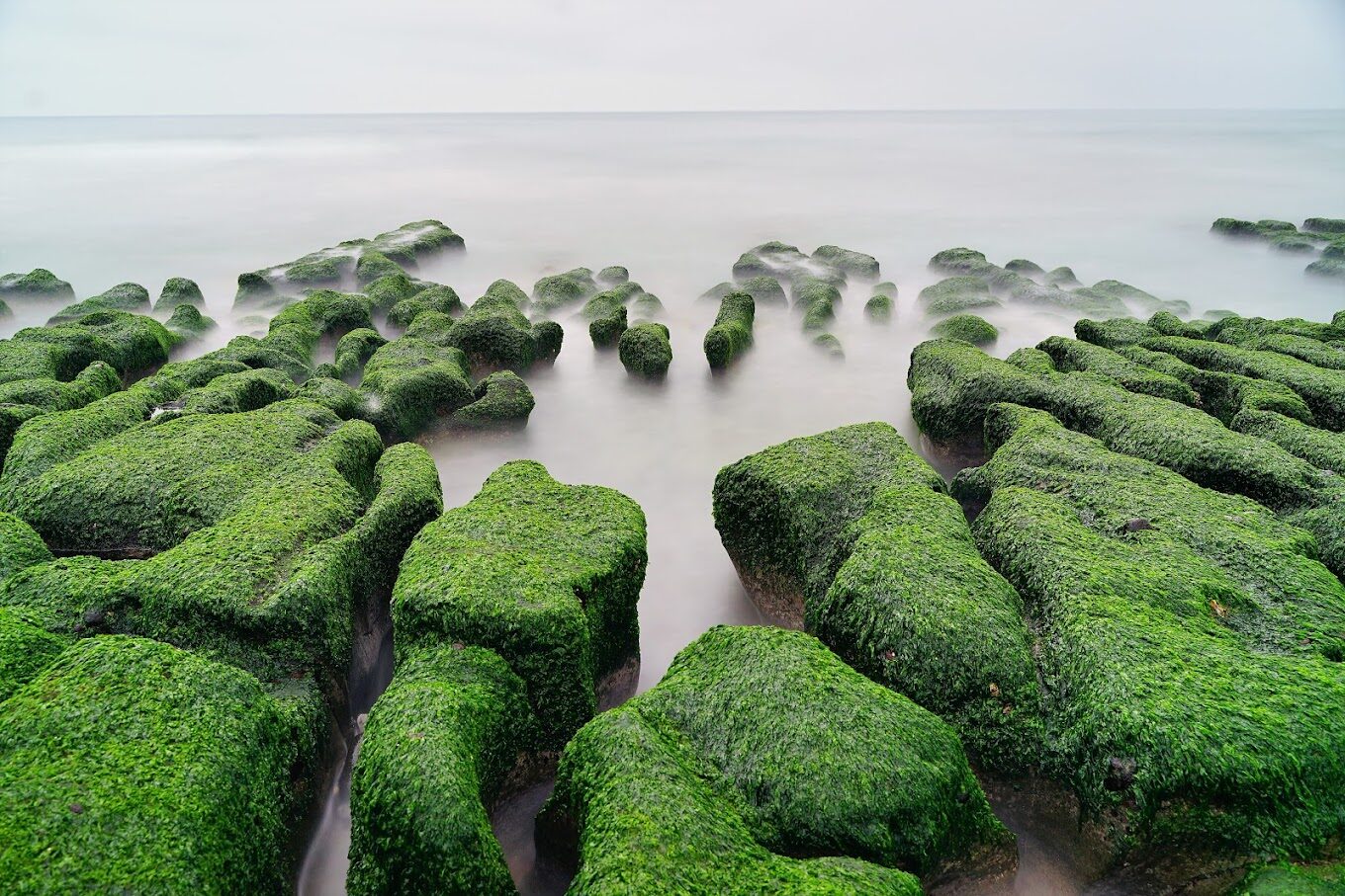 2025北部景點大公開：挑戰不可錯過的必遊秘境