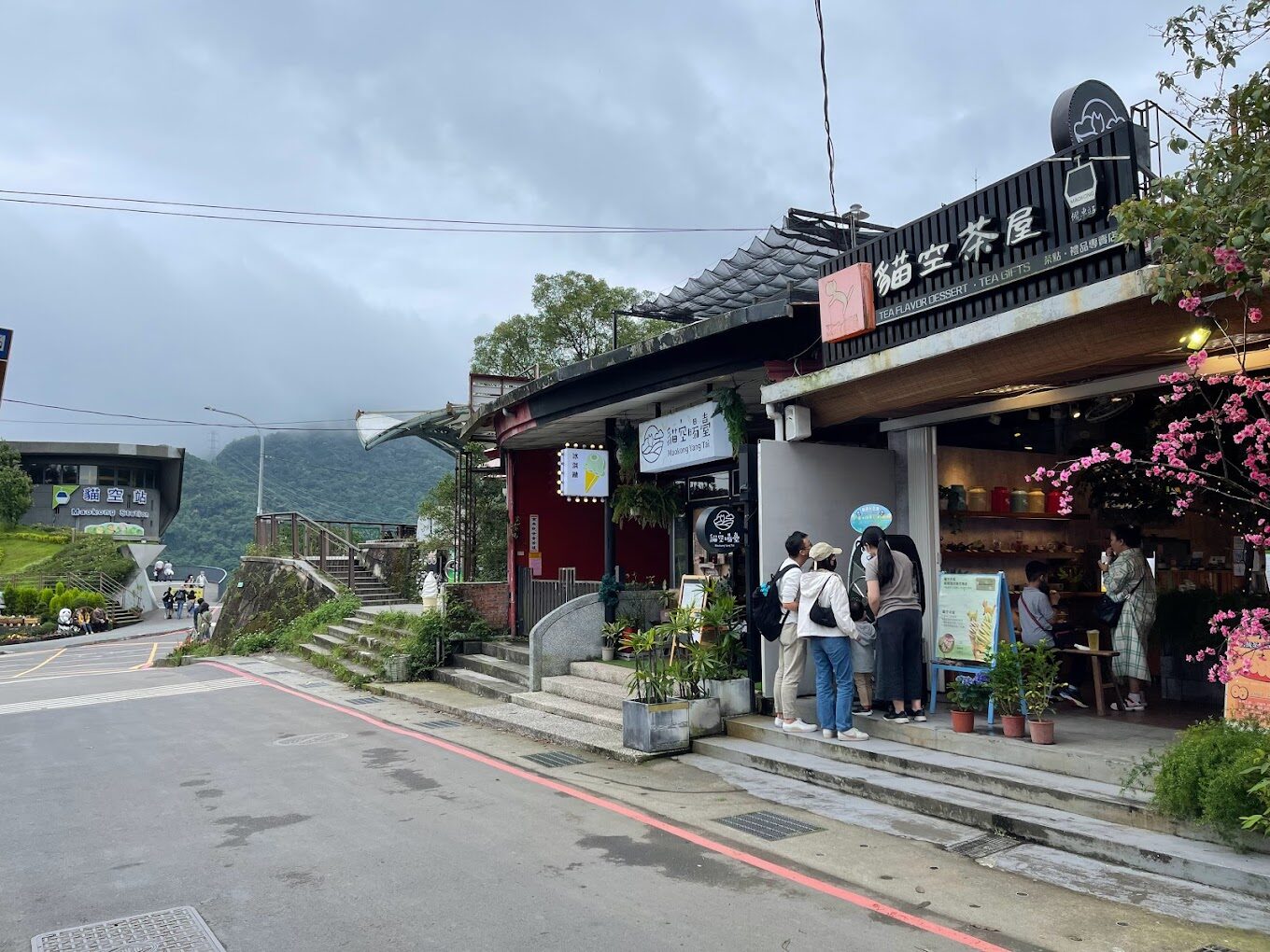 【2025】探索貓空纜車：避免錯過的絕美景點推薦