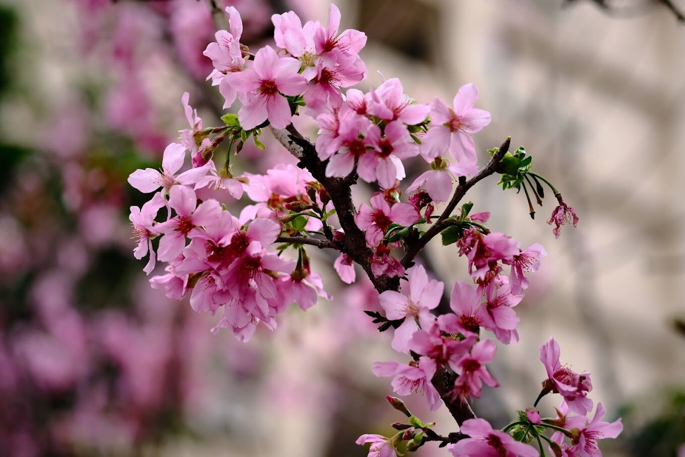 新北景點必去推薦｜2025旅遊必見指南