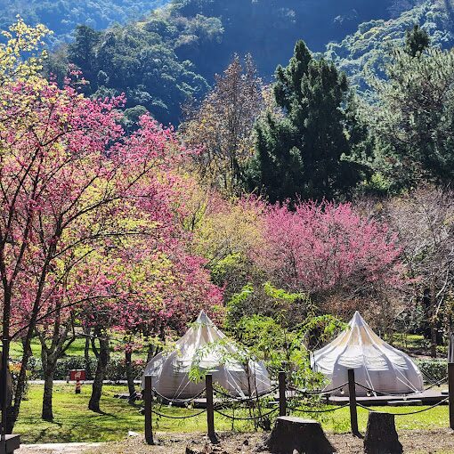 2025年南投景點推薦｜帶你發現必去的秘境