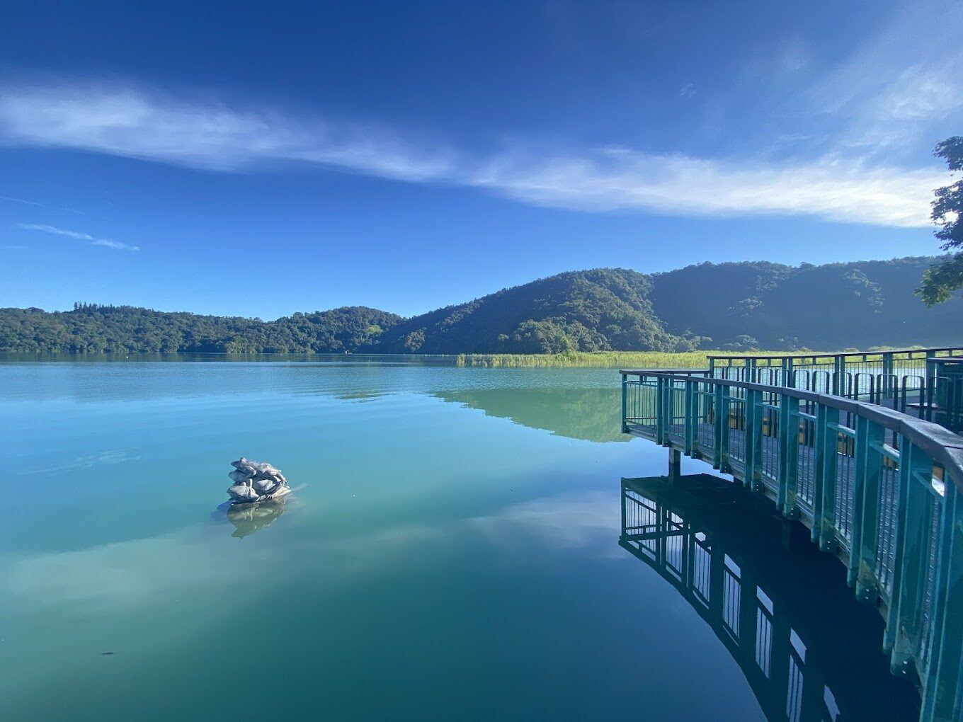 如何規劃日月潭景點行程？避免踩雷的必去地點