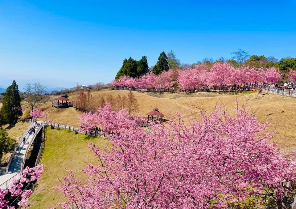 清境農場必去景點懶人包｜你不可錯過的自然美景