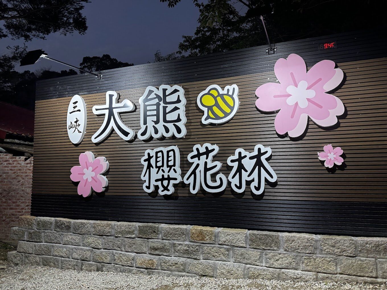 三峽大熊櫻花林必遊攻略｜尋找台灣的絕美花季景點