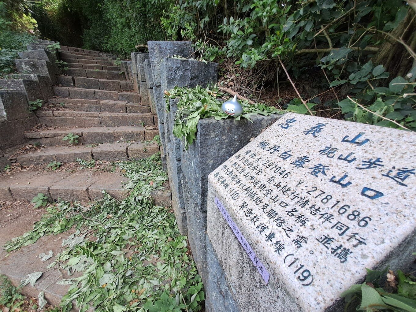 台北大縱走｜必訪景點與省時路線推薦