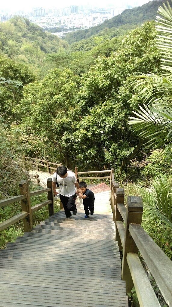 大坑步道行前須知｜避免這常見錯誤，讓你的旅程更順利