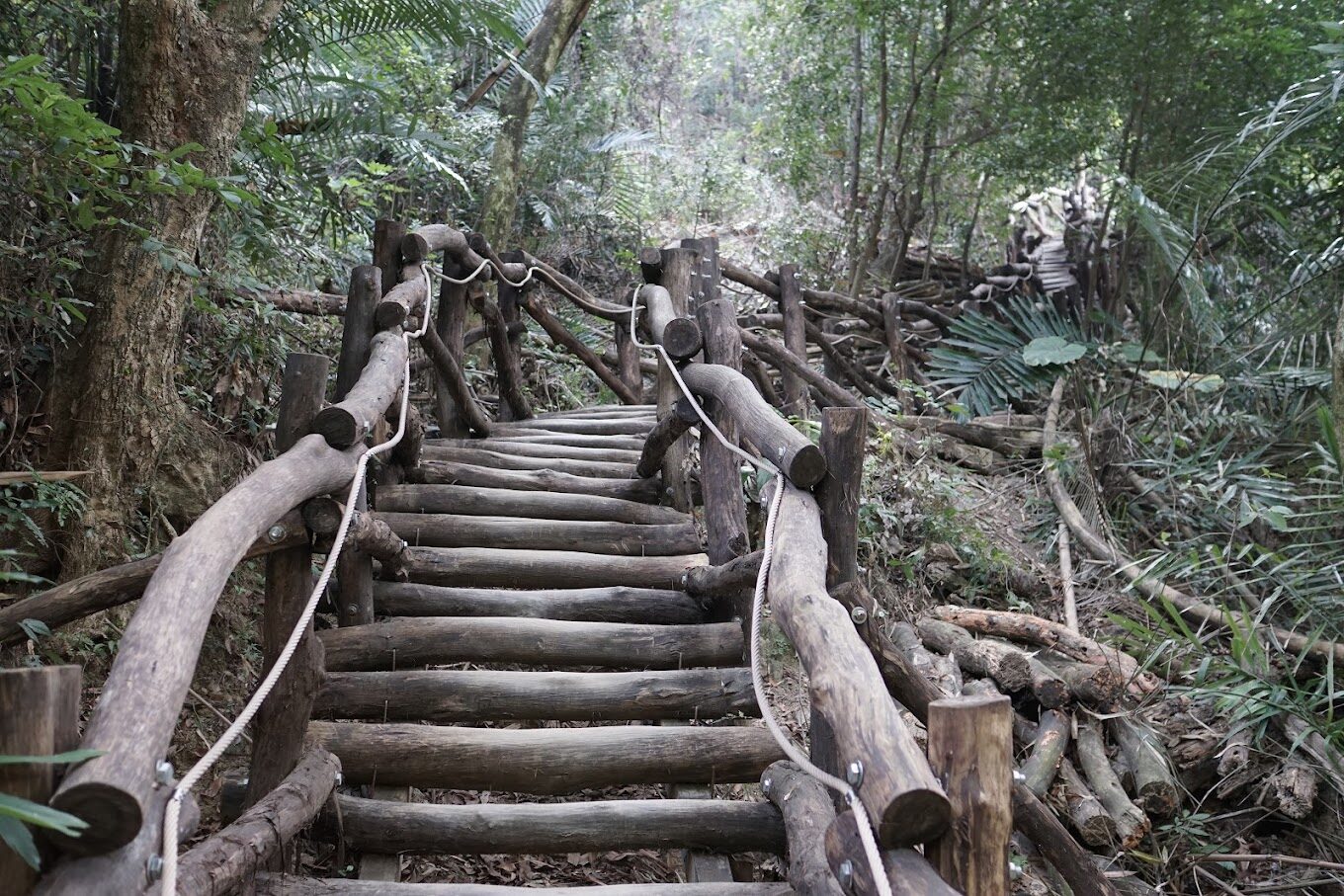 大坑步道行前須知｜避免這常見錯誤，讓你的旅程更順利