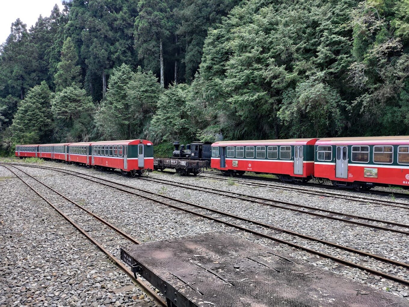 阿里山小火車旅遊指南｜2025冬季不容錯過的台灣鐵路之旅