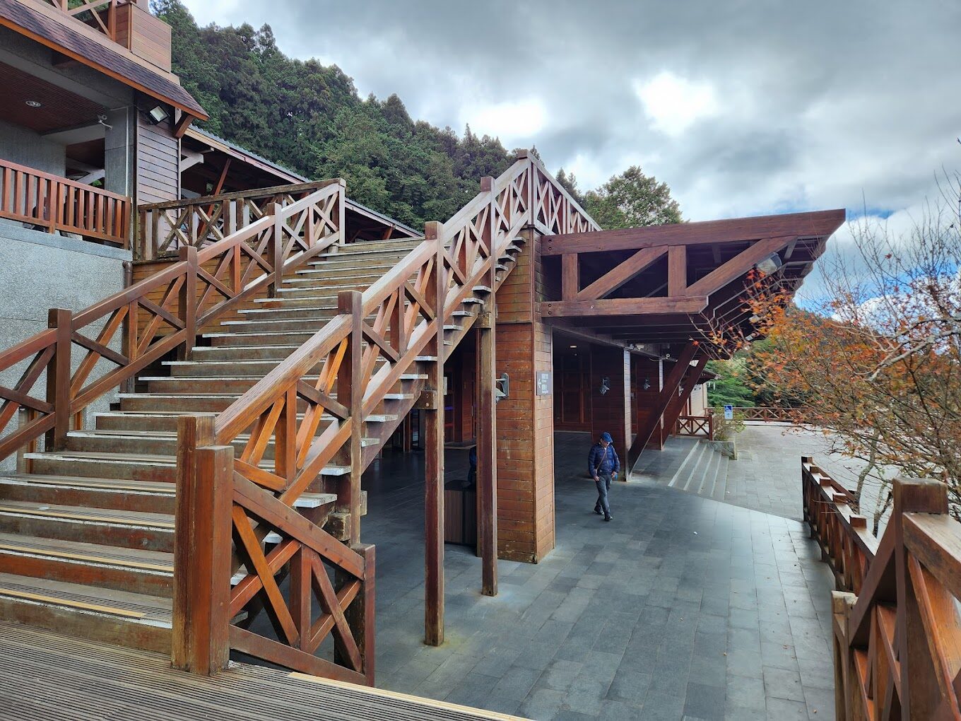 阿里山小火車旅遊指南｜2025冬季不容錯過的台灣鐵路之旅