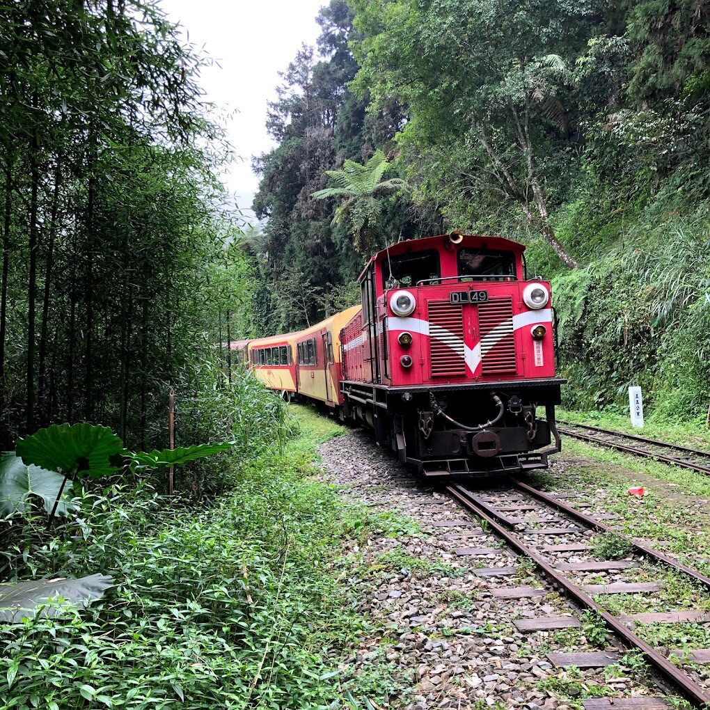 阿里山小火車旅遊指南｜2025冬季不容錯過的台灣鐵路之旅