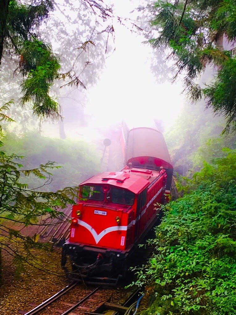 阿里山小火車旅遊指南｜2025冬季不容錯過的台灣鐵路之旅