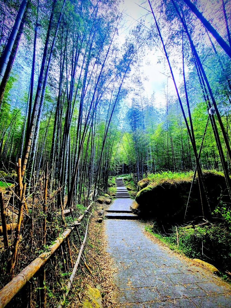 【2025】南投景點不容錯過的秘境