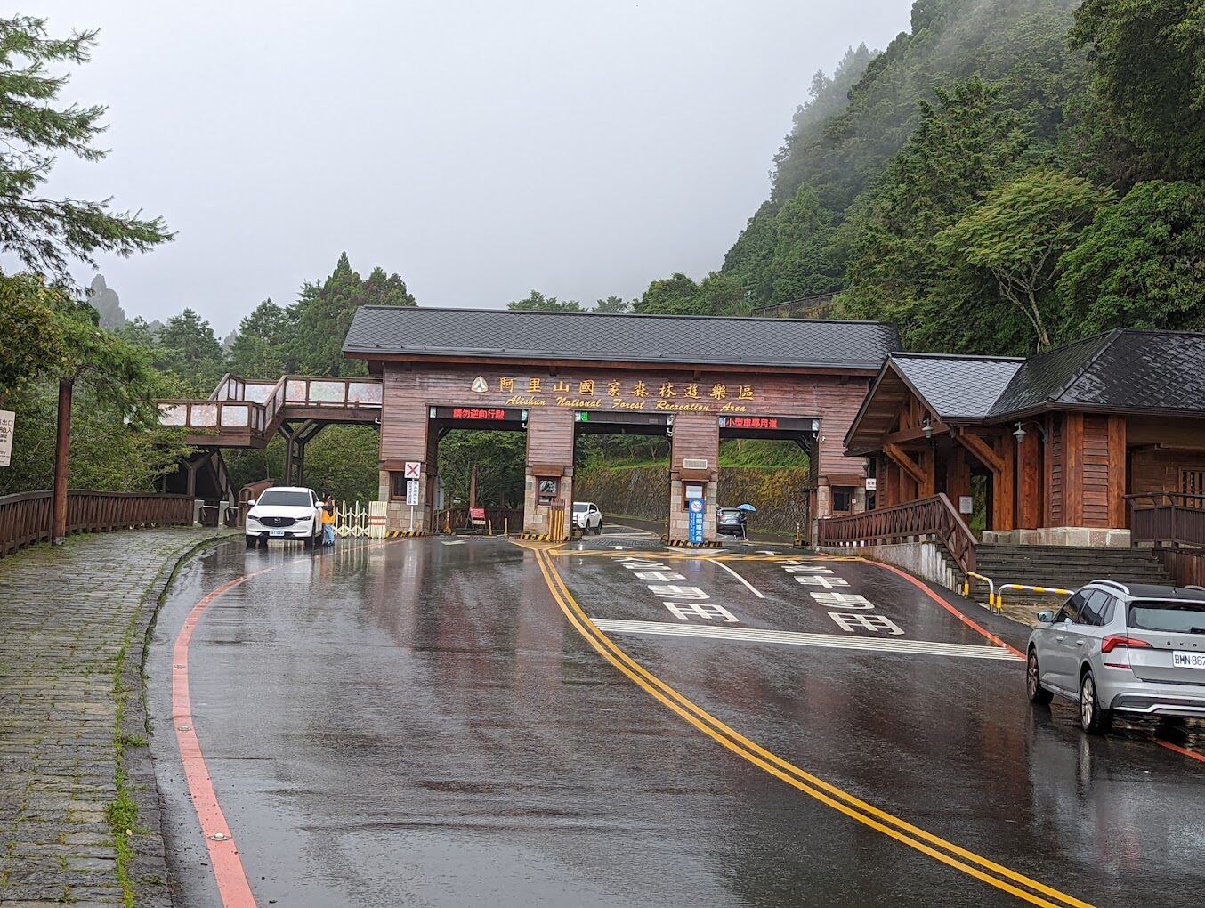 【2025】阿里山必遊景點清單｜錯過這景點會讓你後悔不已