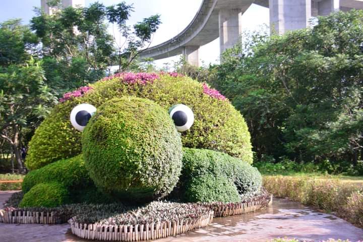 南投景點大揭密！2025不可錯過的隱藏秘境