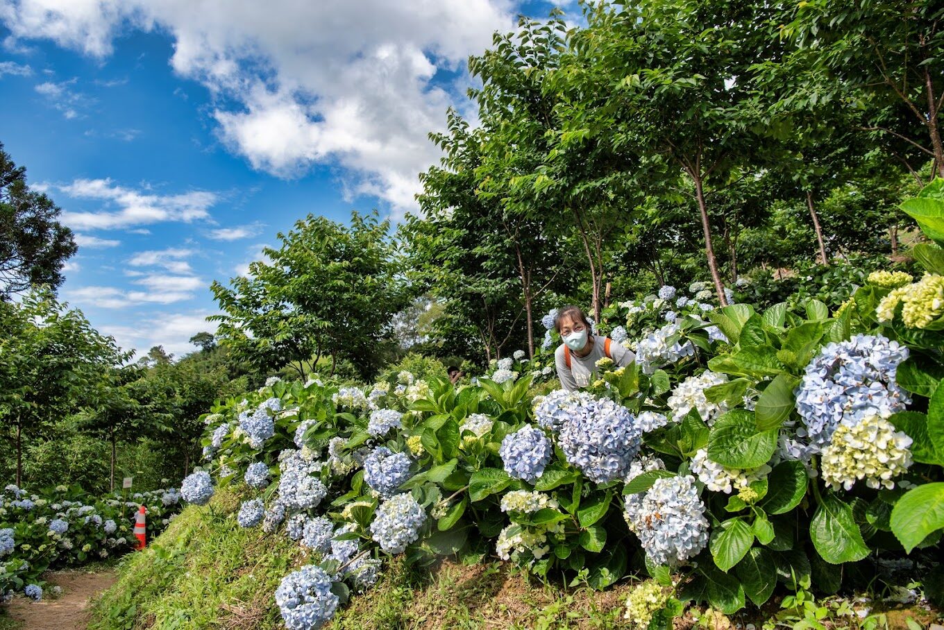 【2025】桃園必去景點推薦｜千萬別錯過