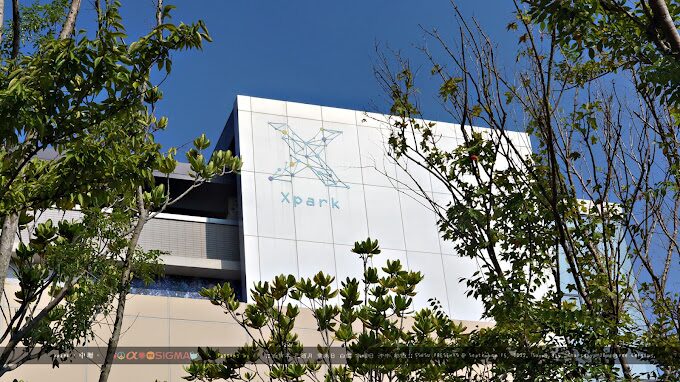 桃園水族館必訪亮點｜親自探訪未來水底世界