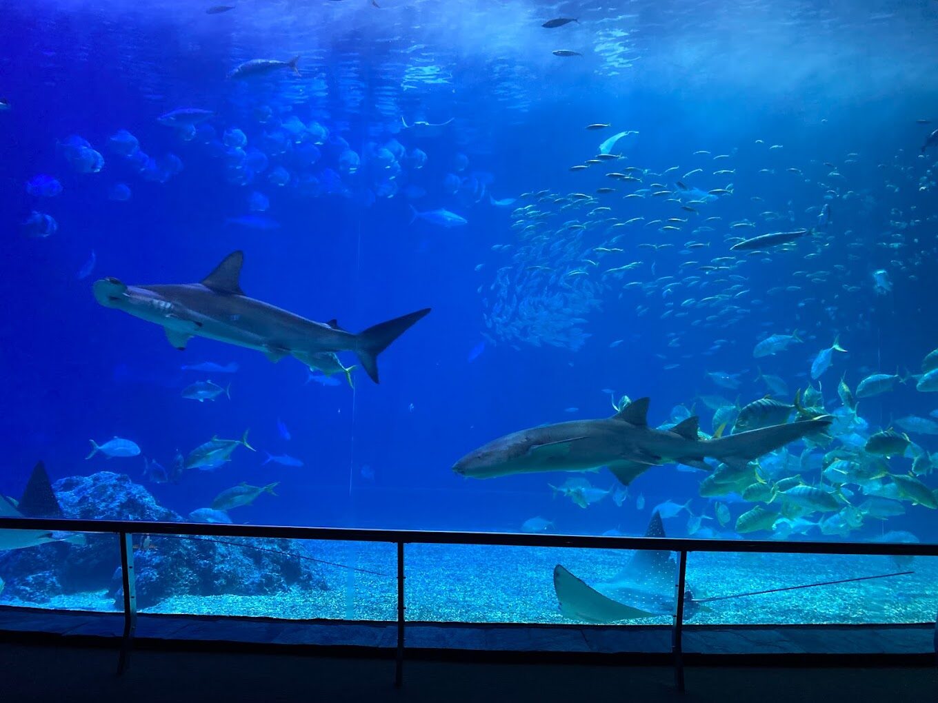 屏東親子景點推薦：不容錯過的家庭遊樂好去處
