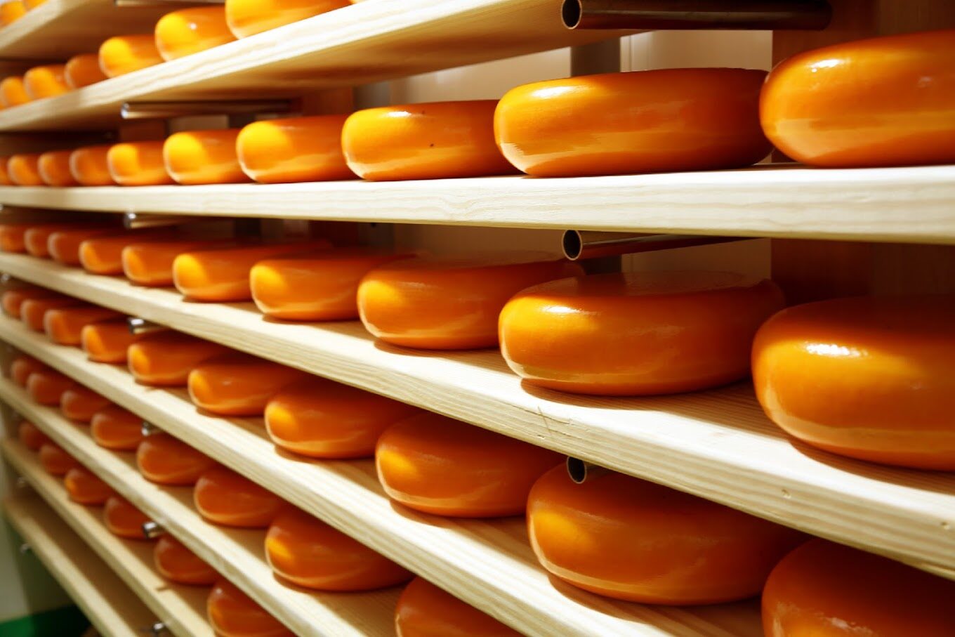 苗栗一日遊必去景點｜防止浪費時間的小秘訣