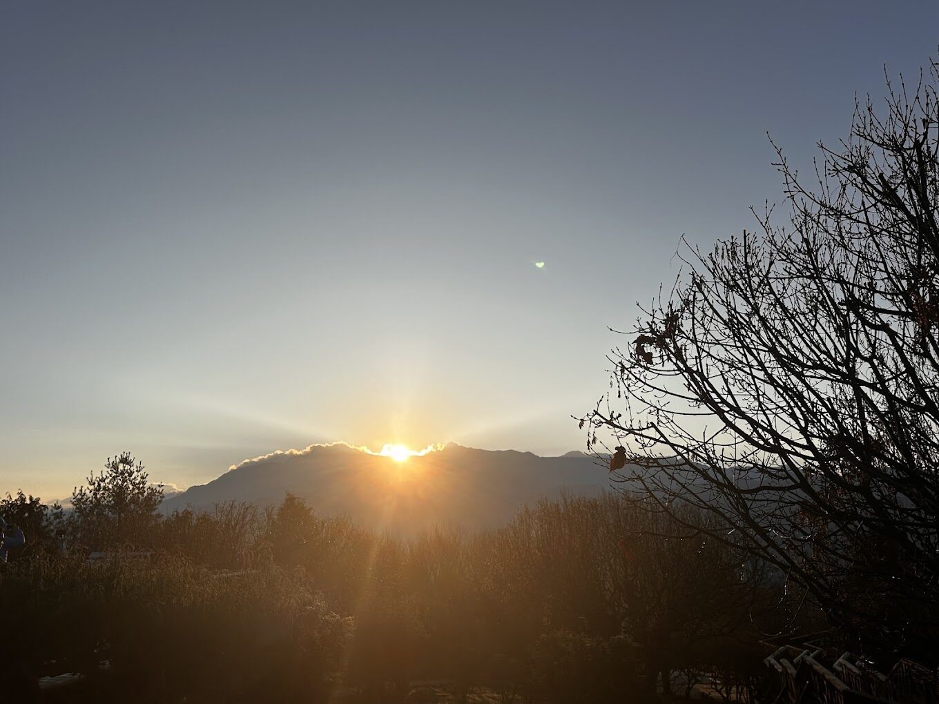 【2025】不容錯過的阿里山旅遊指南｜避開高峰時段的秘訣