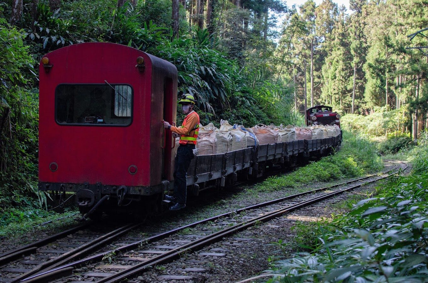 【2025】阿里山小火車旅遊攻略：避開這些常見誤區，享受最美山林風景