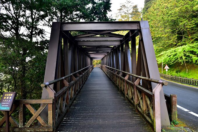 【2025】阿里山小火車旅遊攻略：避開這些常見誤區，享受最美山林風景