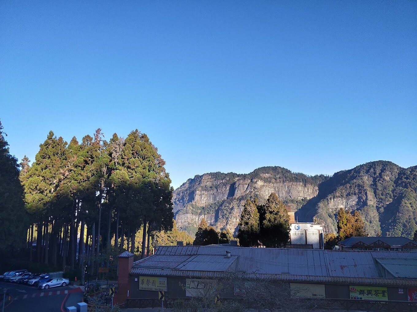 【2025】阿里山小火車旅遊攻略：避開這些常見誤區，享受最美山林風景