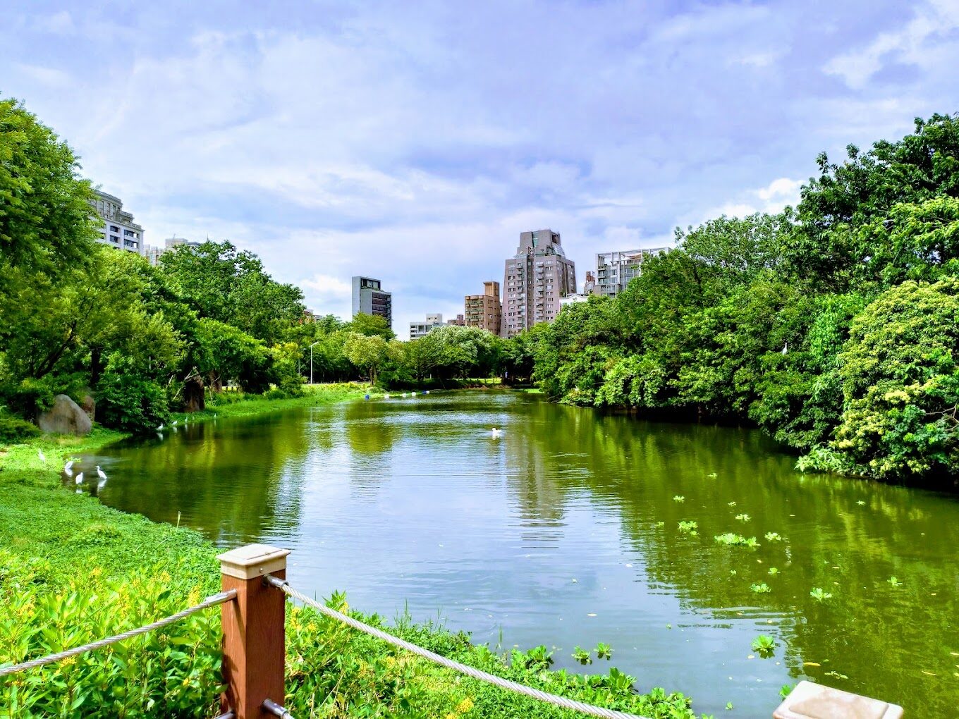 大安公園必遊景點｜探索台北綠洲中的隱藏寶藏