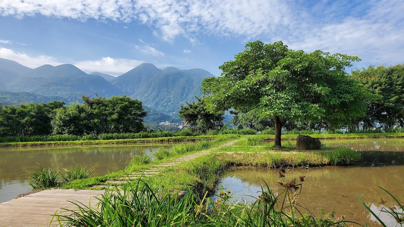 三芝景點必去清單｜不可錯過的自然美景與在地人秘密景點
