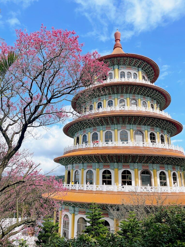 【2025最新】天元宮櫻花景點指南：避開人潮的絕招