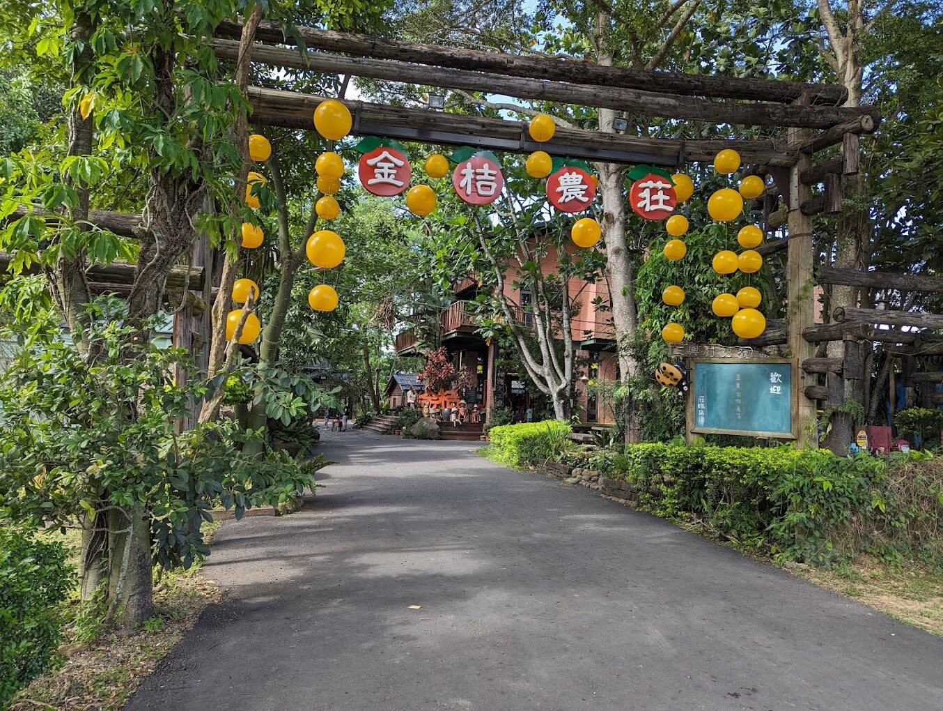 【2025】阿里山必去景點｜避開人潮的絕佳旅遊指南