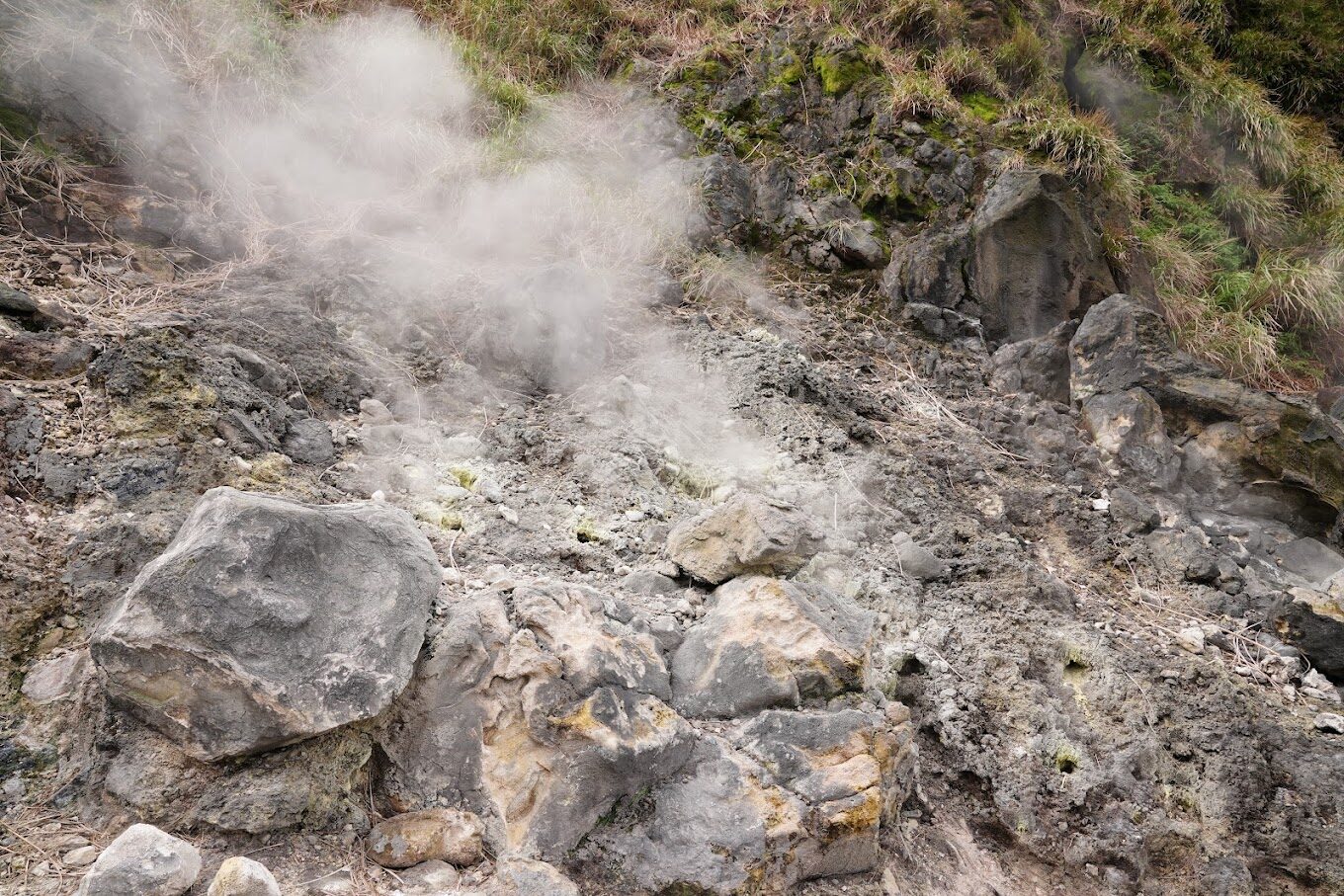 陽明山景點大揭密｜避開人擠人的秘境路線