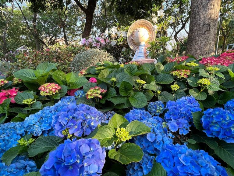 大安公園必遊景點｜探索台北綠洲中的隱藏寶藏