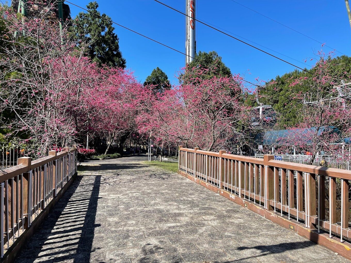 九族文化村必玩攻略｜避開排隊人潮的小秘訣