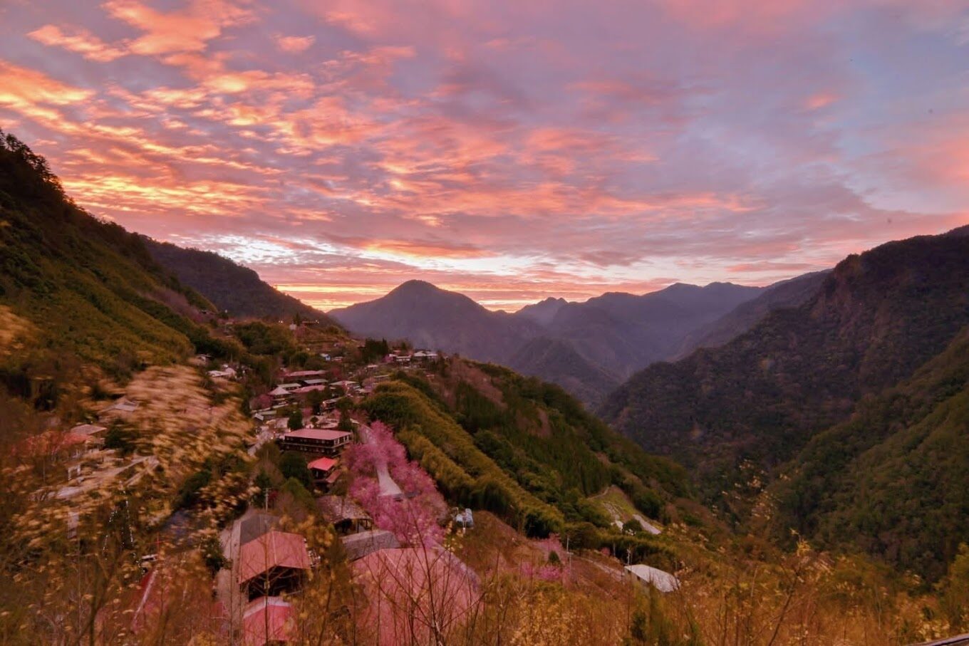 【2025】南投景點必去清單：避開人潮，探索秘境