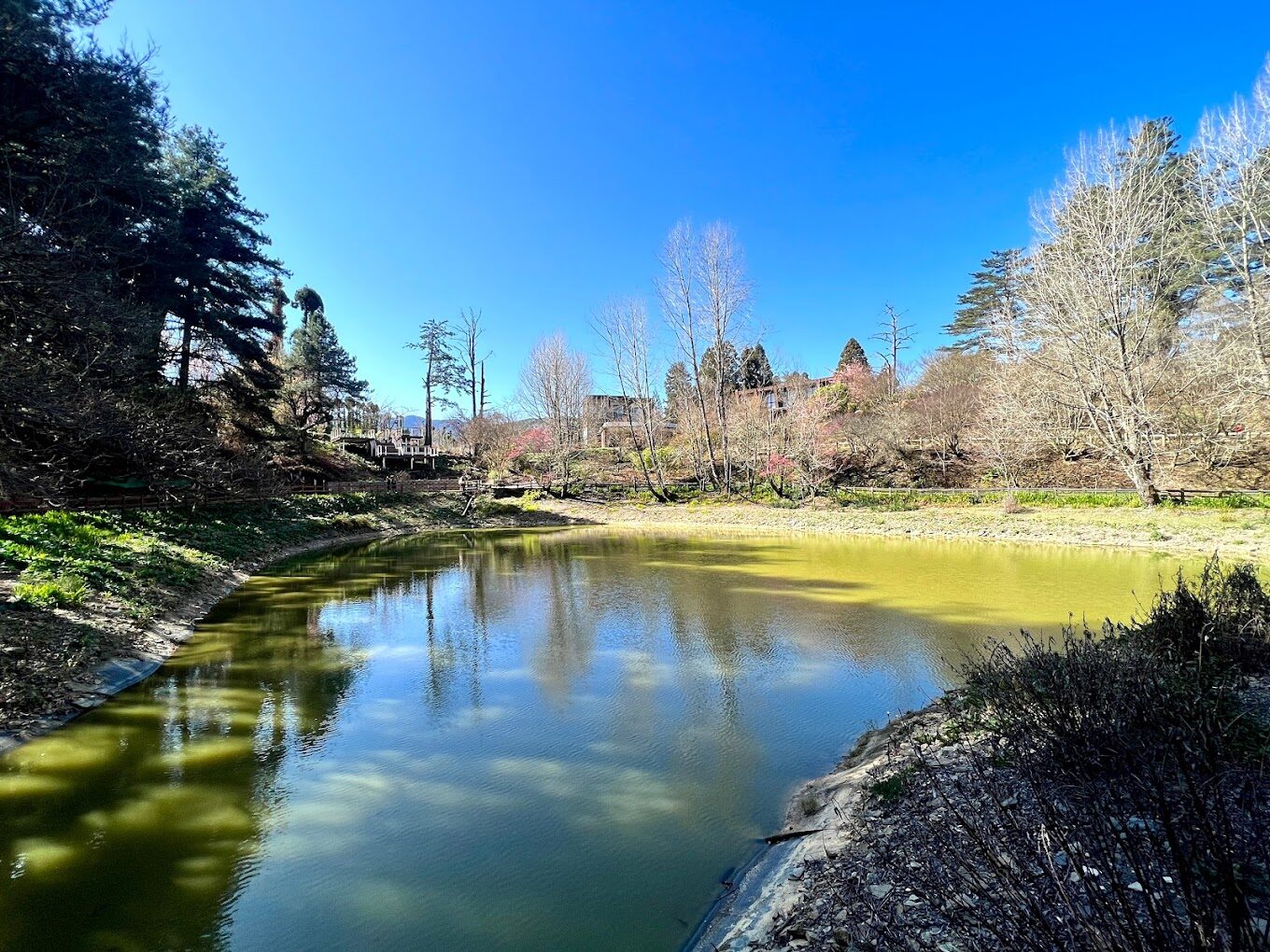 【2025】福壽山農場必遊景點：不能錯過的自然奇觀和在地美食