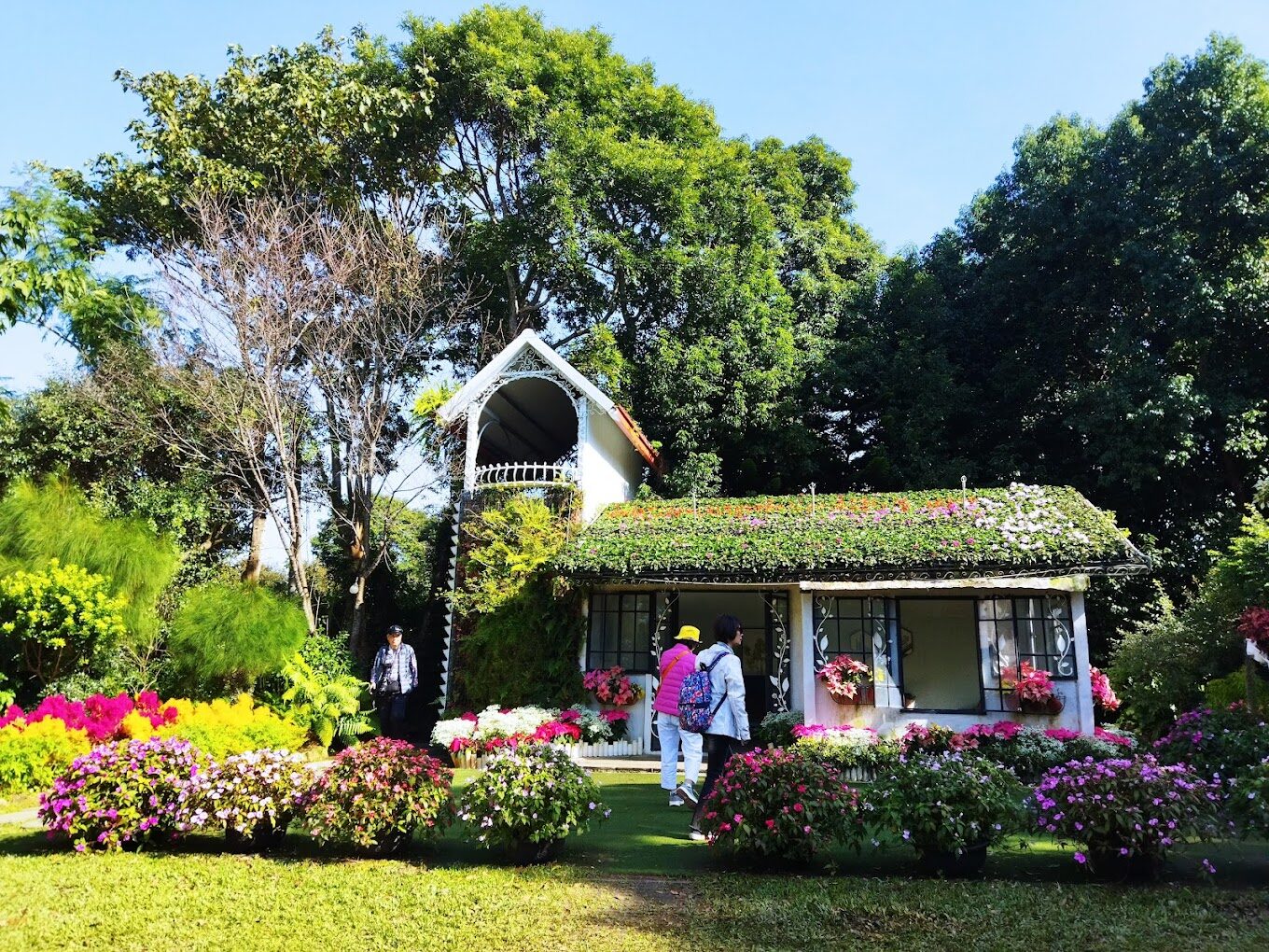 【2023】花露農場必遊指南｜自然美景與在地美食推薦