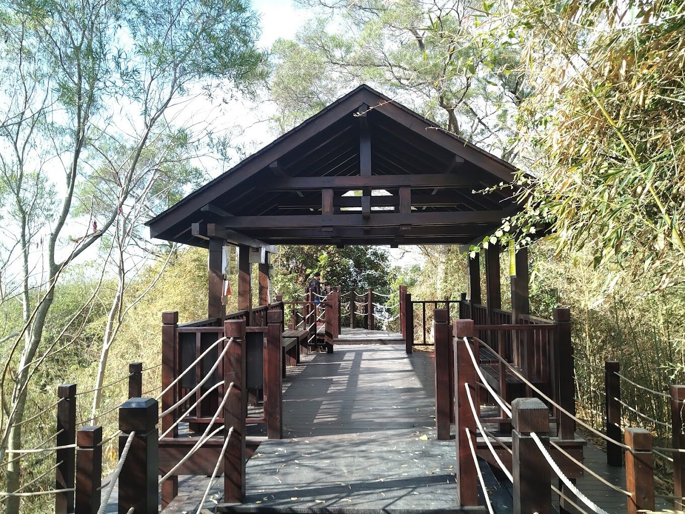 大坑步道必知的秘密｜避開這些錯誤，讓你的臺中之旅更完美