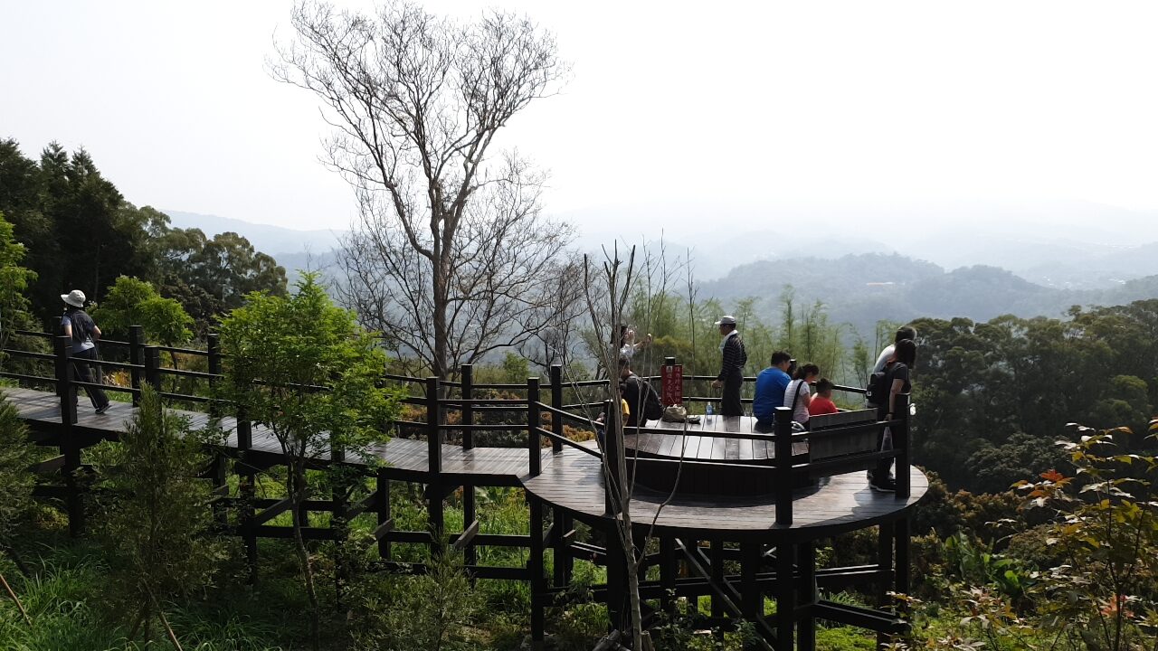 大坑步道必知的秘密｜避開這些錯誤，讓你的臺中之旅更完美