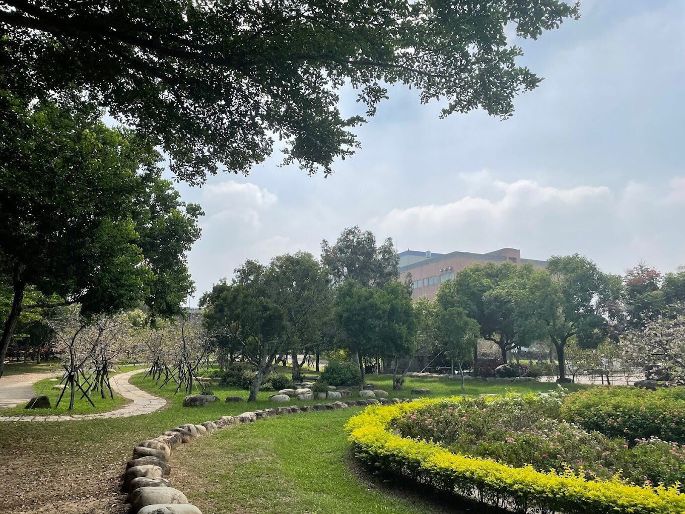 中科崴立櫻花公園盛開全景
