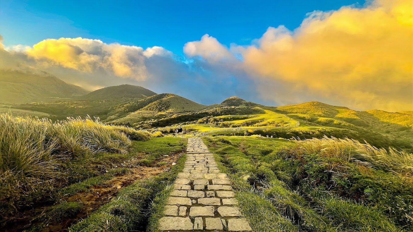 擎天崗探秘：絕對不容錯過的自然美景