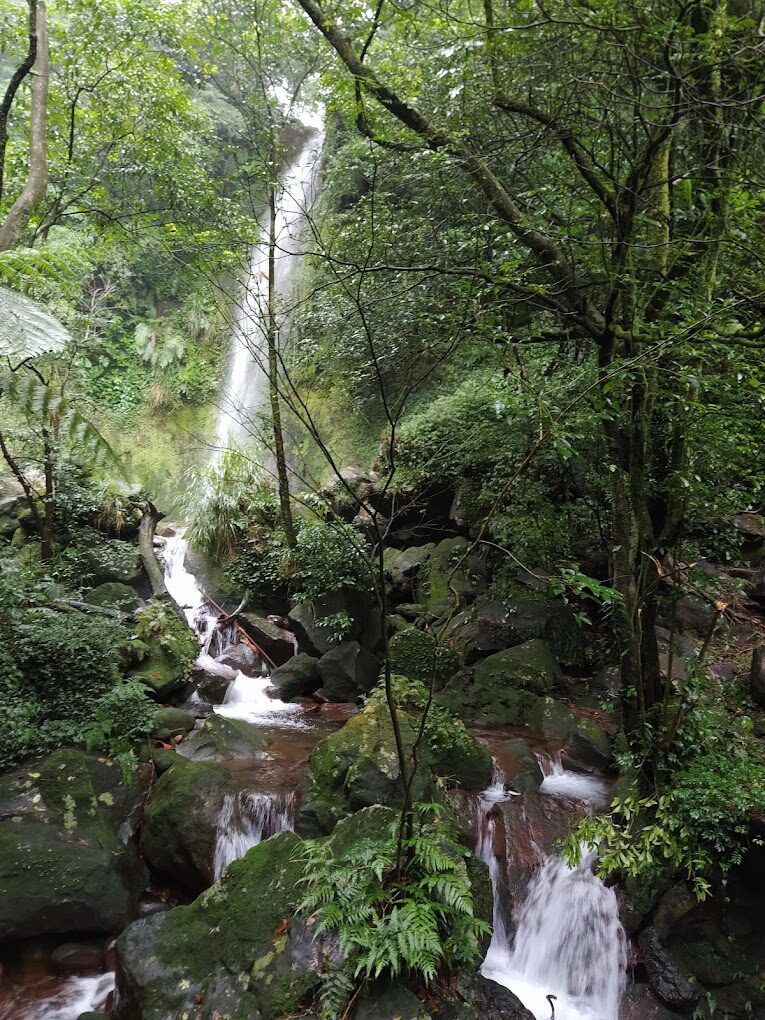 擎天崗探秘：絕對不容錯過的自然美景