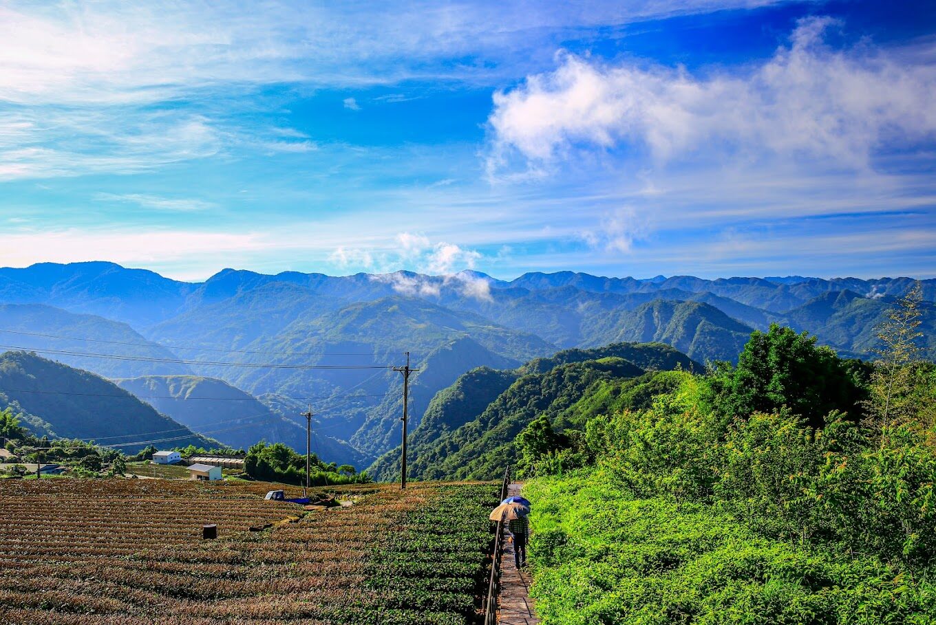 二延平步道必去景點｜避免踩坑的攻略指南