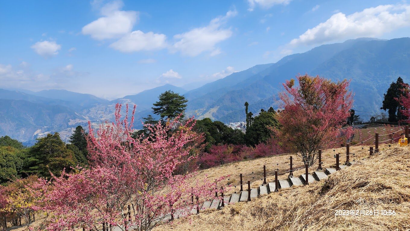 【2025】福壽山農場必訪景點|探索隱藏的美麗景點