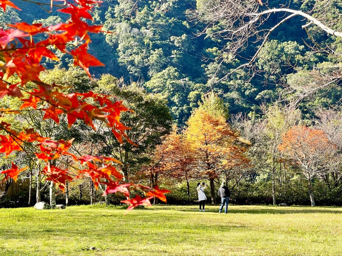 【2025】奧萬大楓葉觀賞攻略|必訪景點