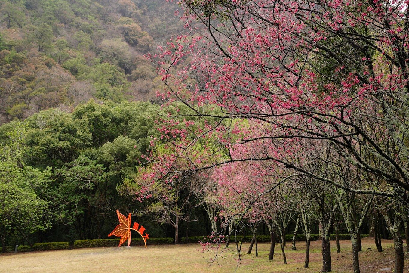 奧萬大：必遊景點及住宿推薦（2025年最新版）