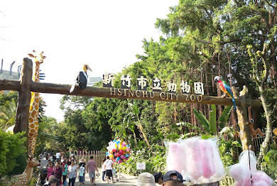 新竹景點必玩清單｜你絕不能錯過的熱門打卡點