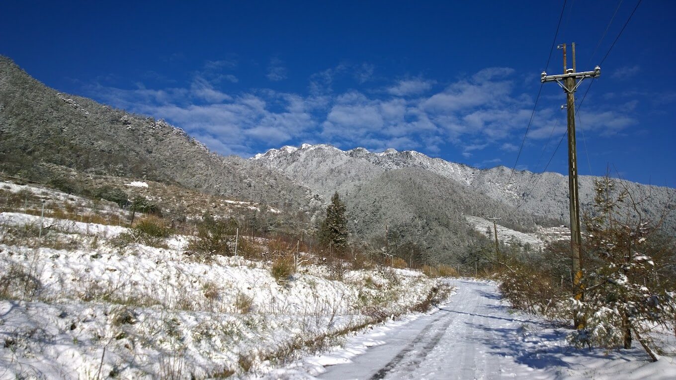 2025武陵農場必去景點推薦|享受最美的四季自然風光