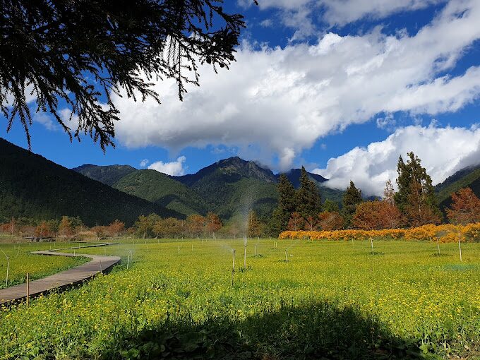 2025武陵農場必去景點推薦|享受最美的四季自然風光